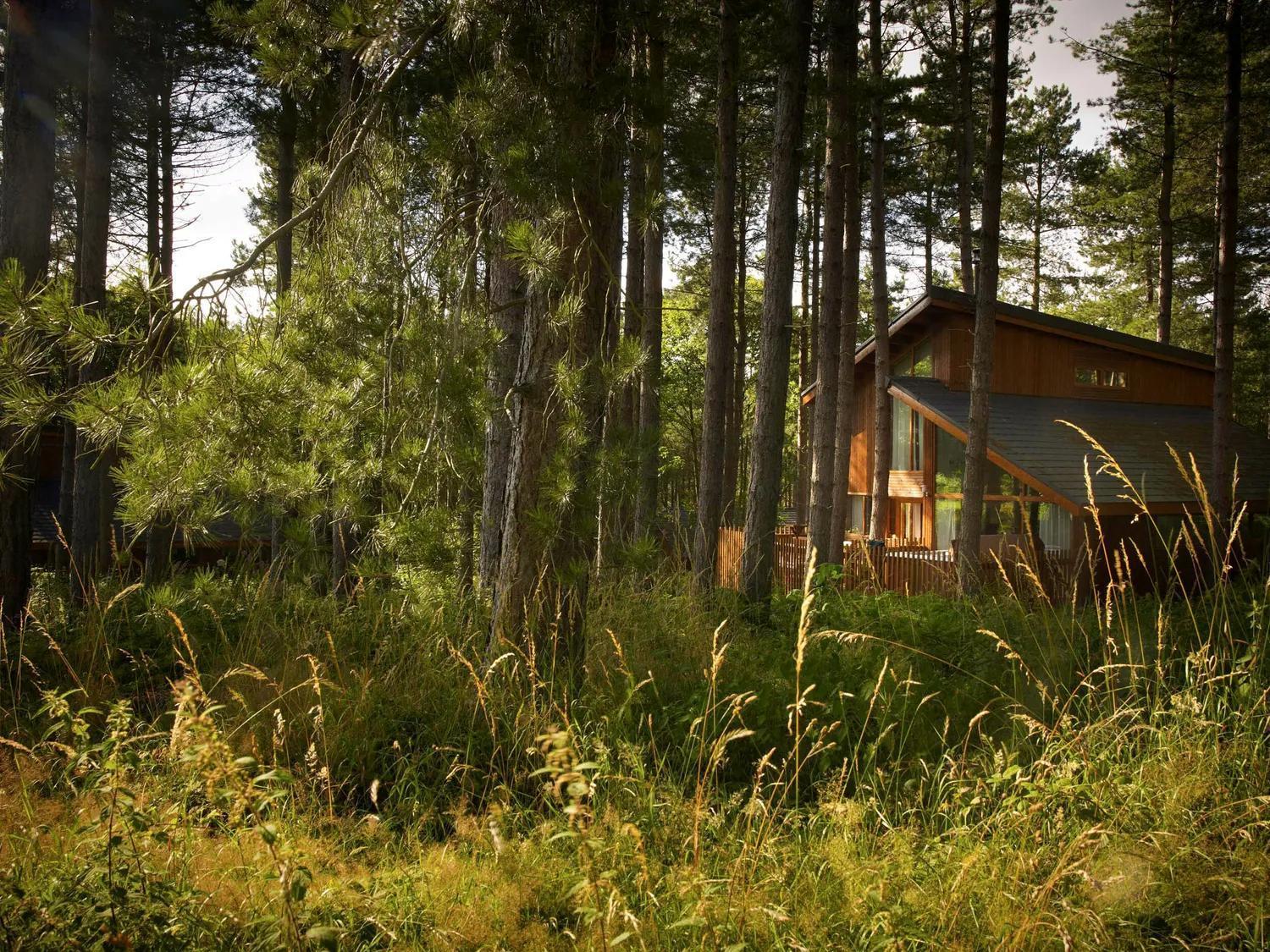Blackwood Forest Cabins - Forest Holidays Popham エクステリア 写真