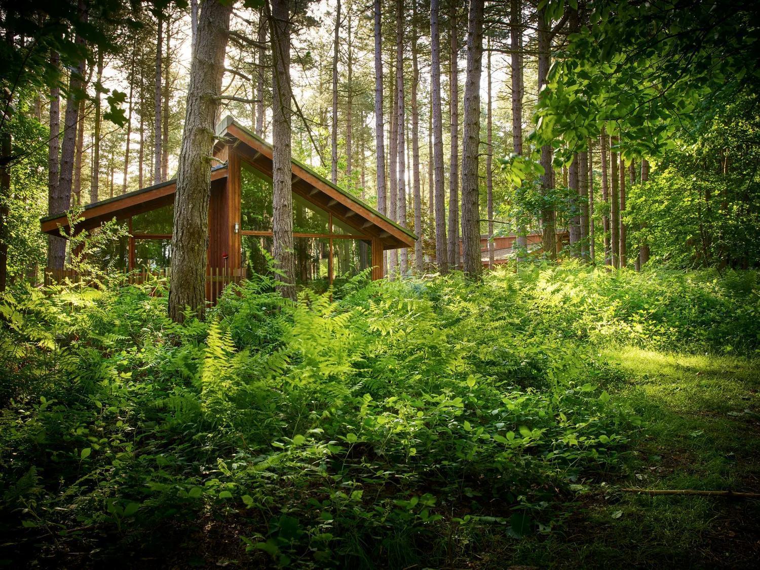 Blackwood Forest Cabins - Forest Holidays Popham エクステリア 写真