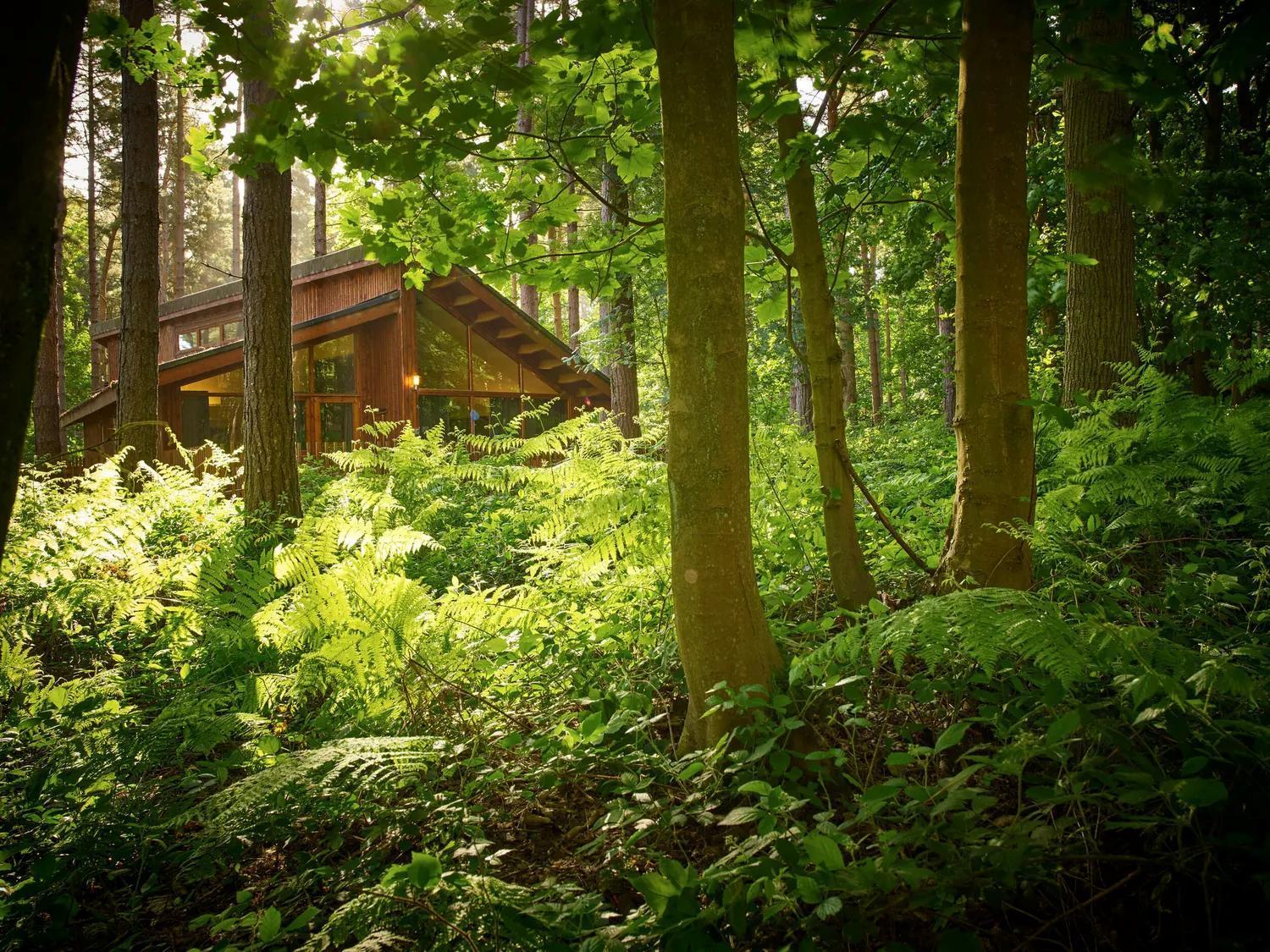 Blackwood Forest Cabins - Forest Holidays Popham エクステリア 写真