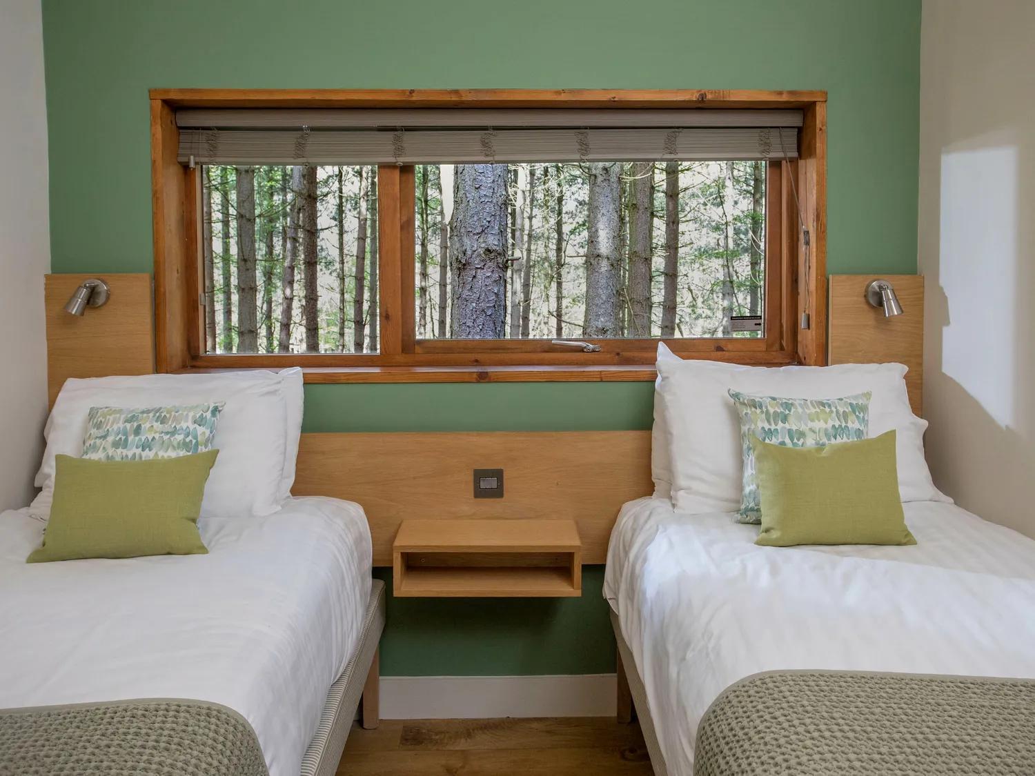 Blackwood Forest Cabins - Forest Holidays Popham エクステリア 写真