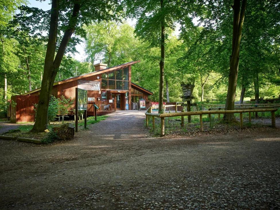 Blackwood Forest Cabins - Forest Holidays Popham エクステリア 写真